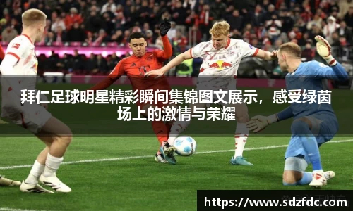 MK体育官方网站